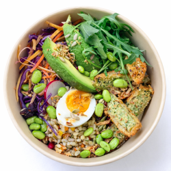 Le Poké Végétarien du 16/03 au 31/05