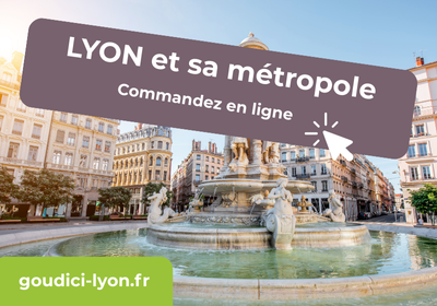 Goudici Lyon