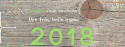 Nos bonnes résolutions pour 2018  !